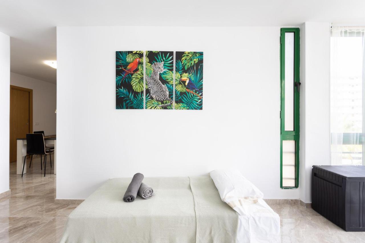 Black Cat Surf House 1 C *