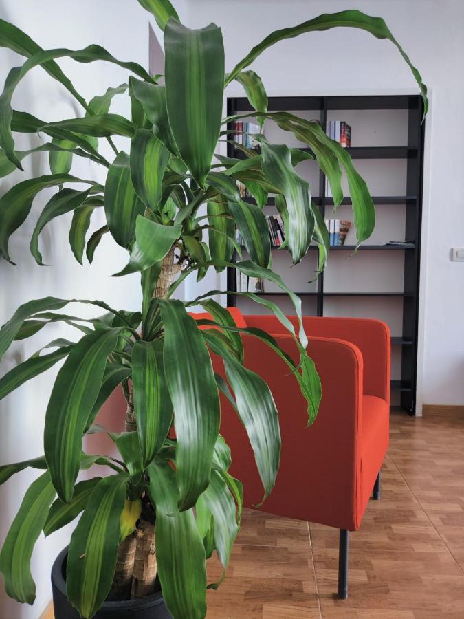 Casa Bonblet