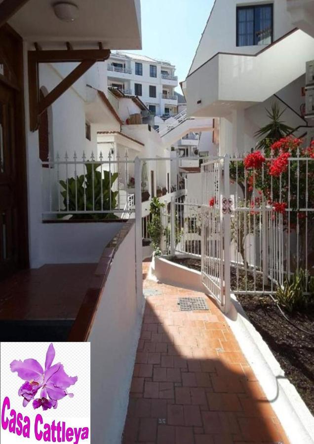 Apartamento Casa Cattleya Los Cristianos (Tenerife)