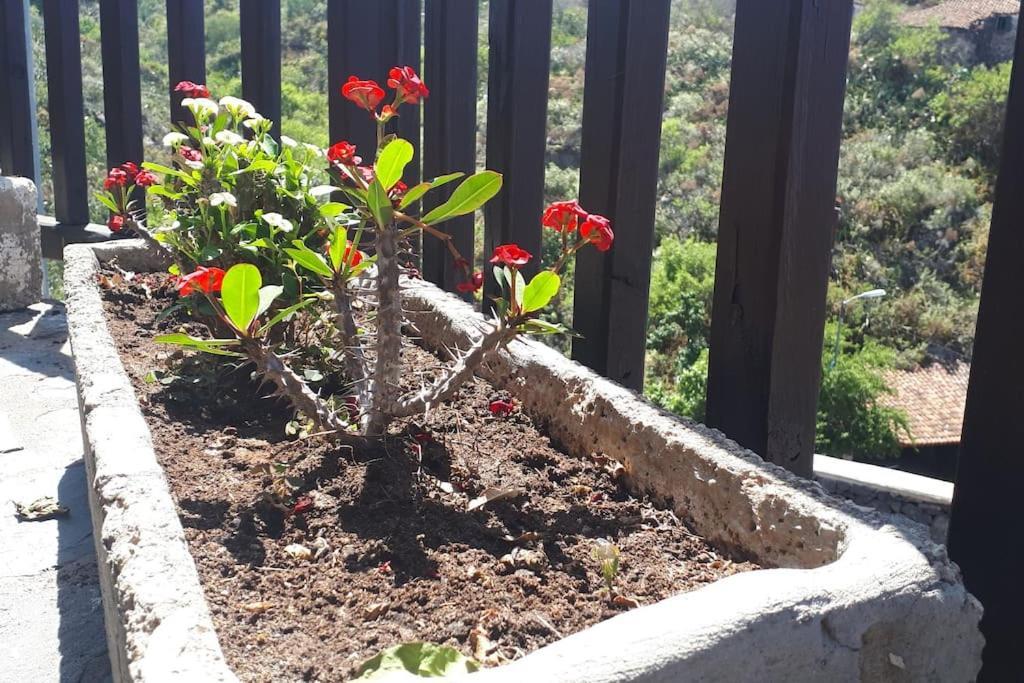 Casa Tia Rosa. Hébergement de vacances *