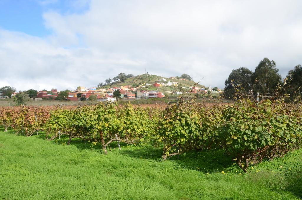 El Adelantado Casa rural Tacoronte