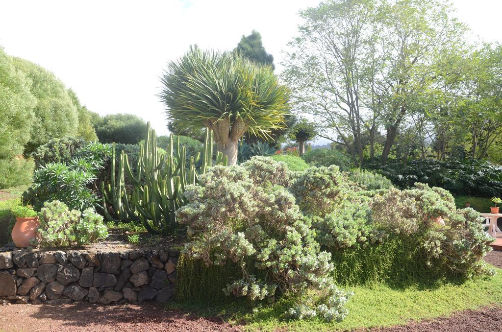 Casa rural El Adelantado