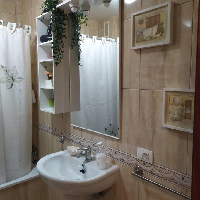 Friendly Apartment