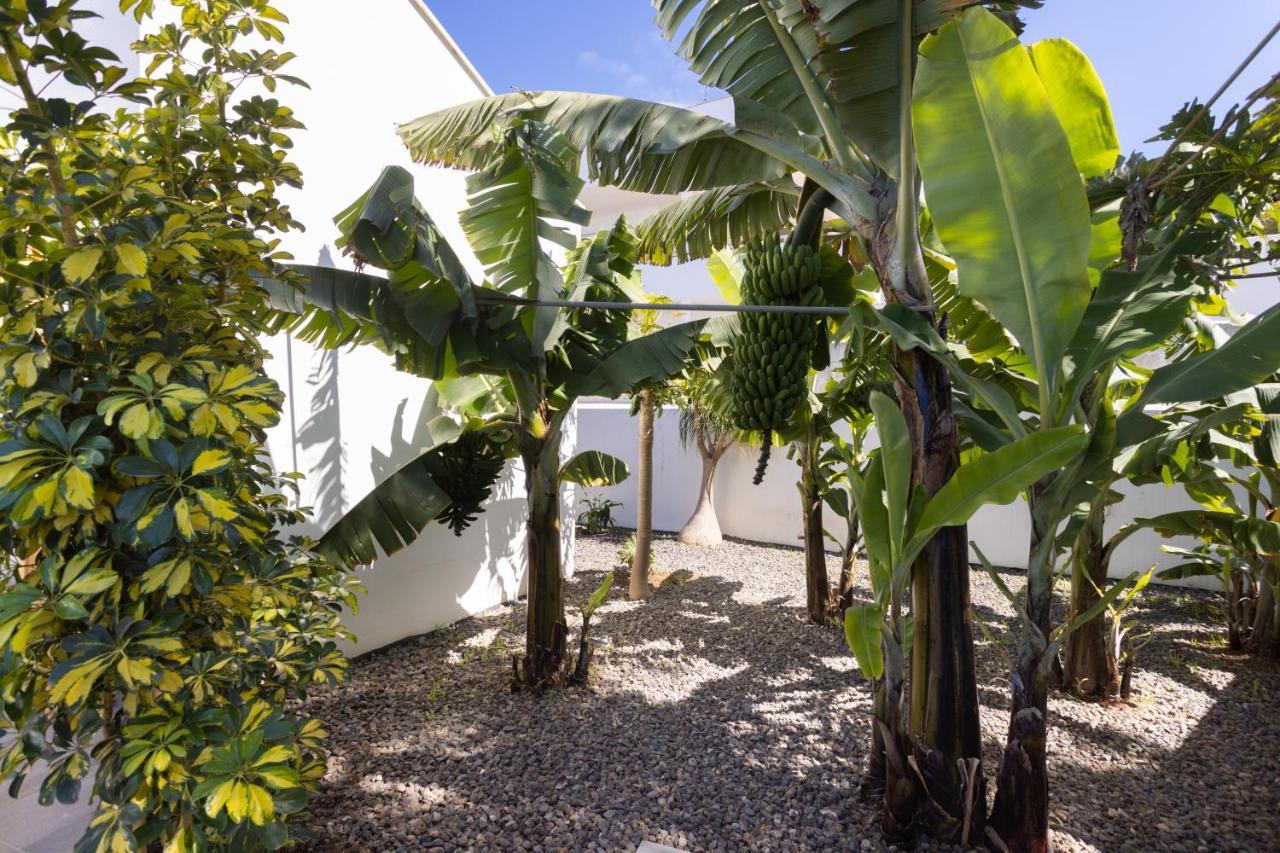 Home2book Amazing Santa Ursula, Sea Views & Terrace