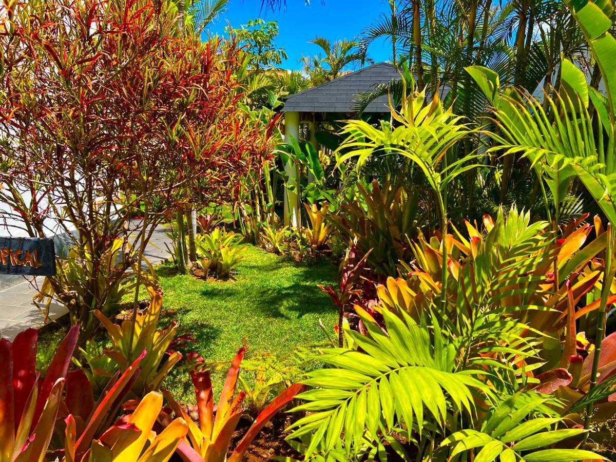Séjour chez l'habitant La Selvita Bajamar (La Laguna)