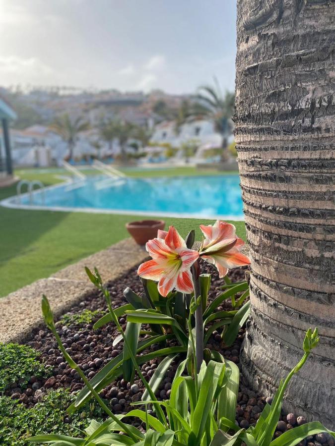 Appartement Malibu Sun & Relax