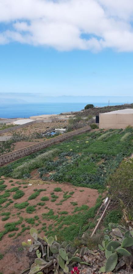 Farm stay Dulces Chio (Tenerife)