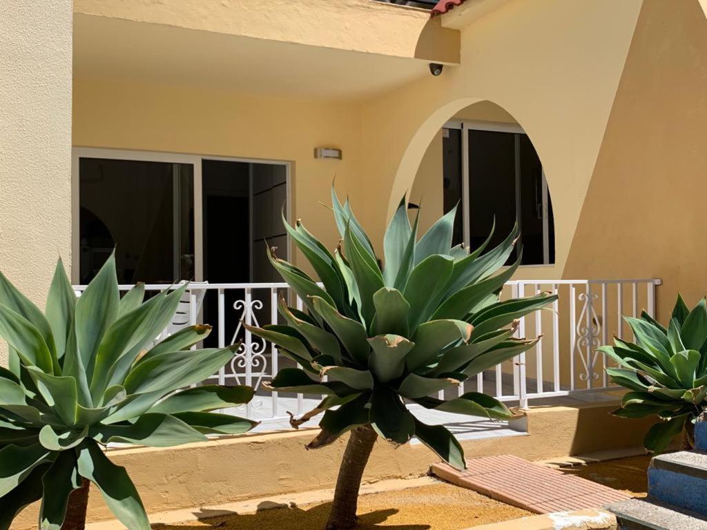 Costa Adeje-2 Bed.apartment With Double Terrace Appartement Costa Adeje (Tenerife)