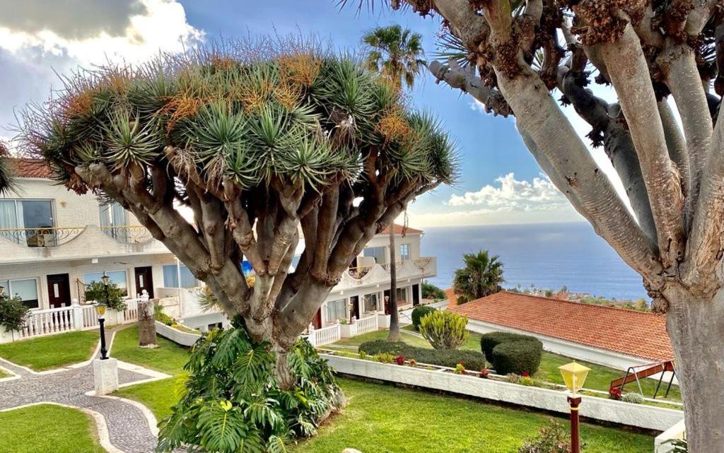 Precioso Loft Con Piscina Apartment Santa Cruz de Tenerife