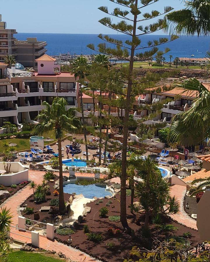 Albatros Park Amarilla Golf Piscina Climatizada, Wifi Appartement