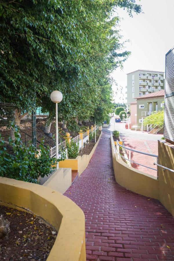 Appartement Orlando Tenerife Sur Daisy And Mikey Costa Adeje (Tenerife)