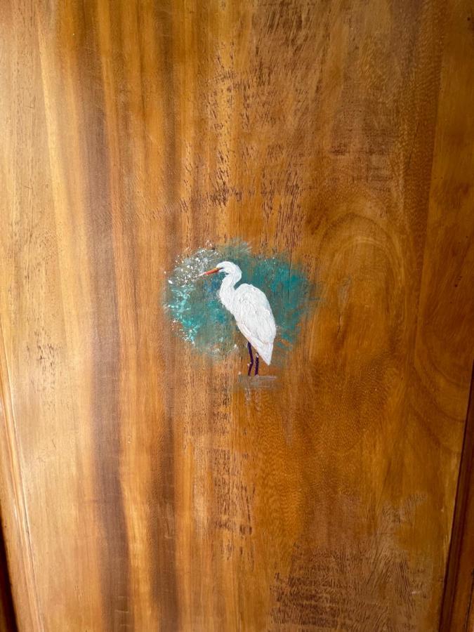 Garza Blanca