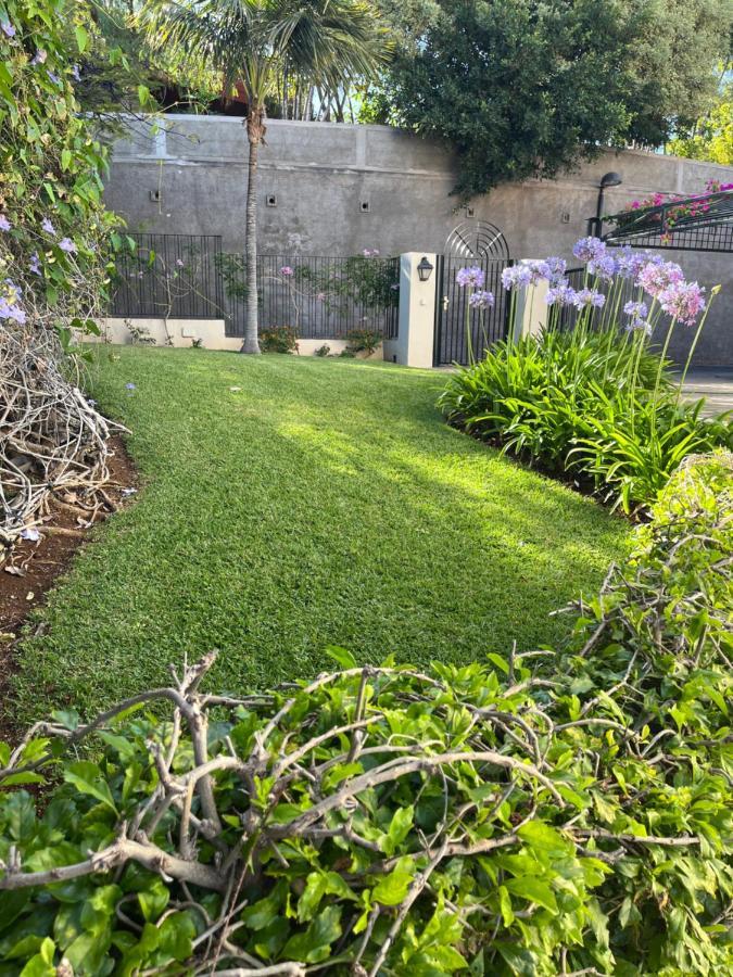 Dream Garden Appartement Santa-Cruz de Ténérife