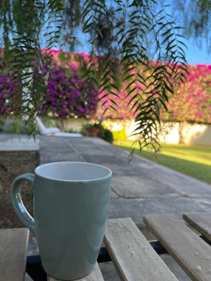 Dream Garden Appartement Santa-Cruz de Ténérife
