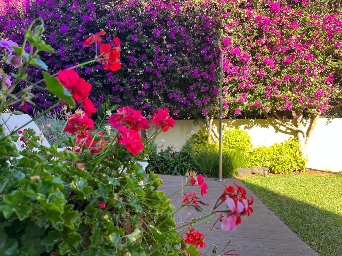 Dream Garden Appartement