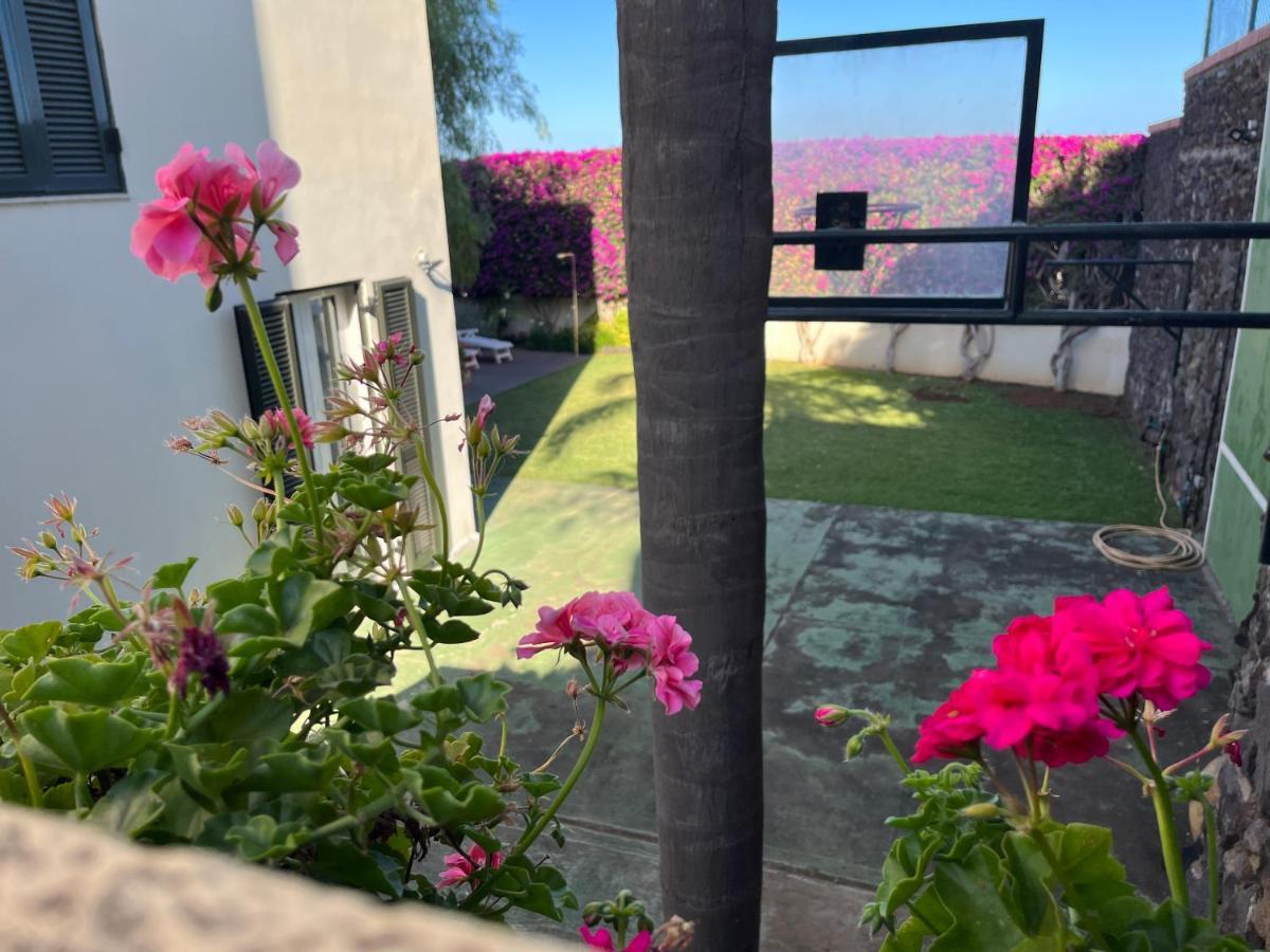 Dream Garden Appartement *