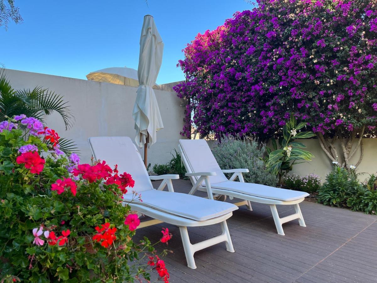 Dream Garden Apartamento