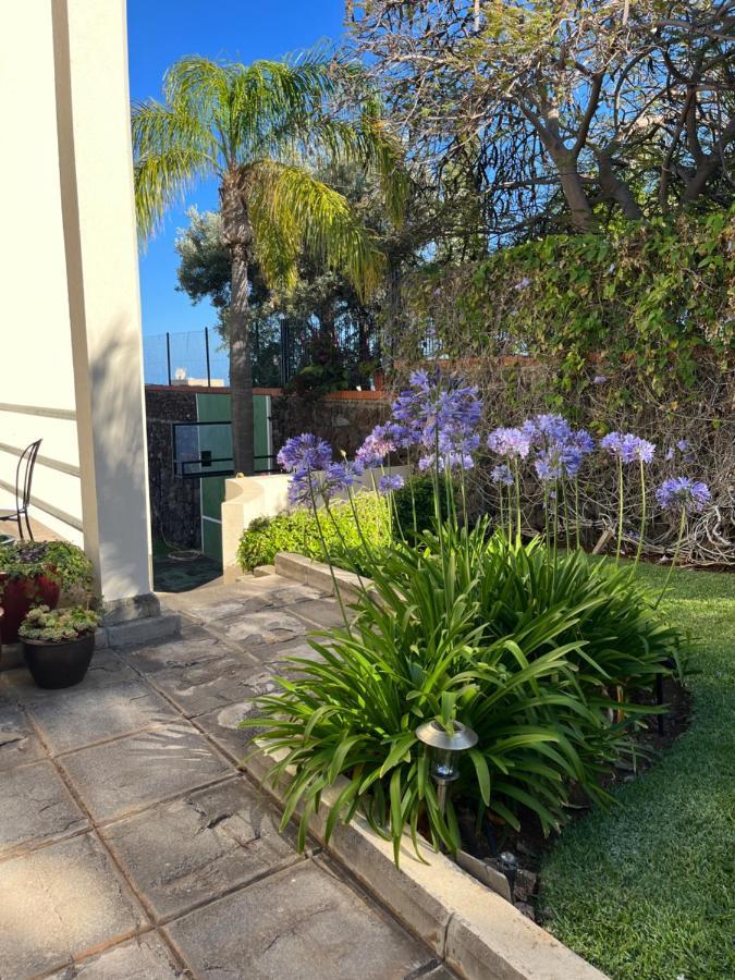 Appartement Dream Garden