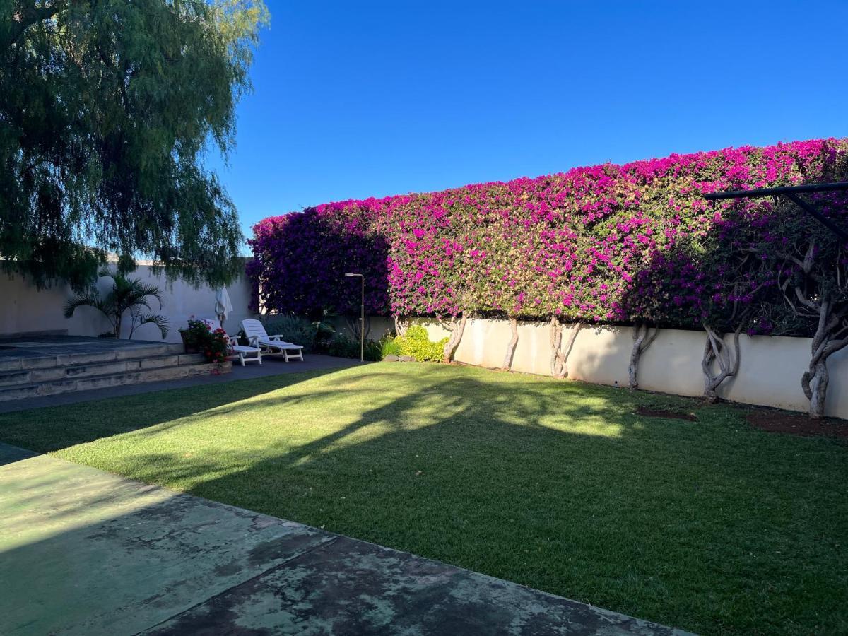 Dream Garden *