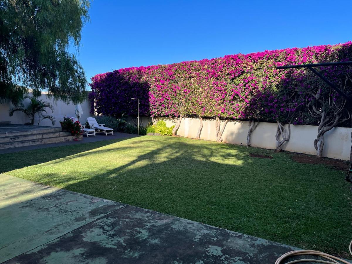 Appartement Dream Garden Santa-Cruz de Ténérife