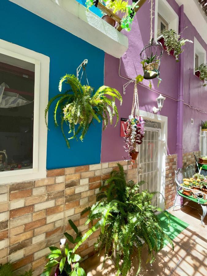 Holiday home Casa Dionea, Puerto de la Cruz (Tenerife)