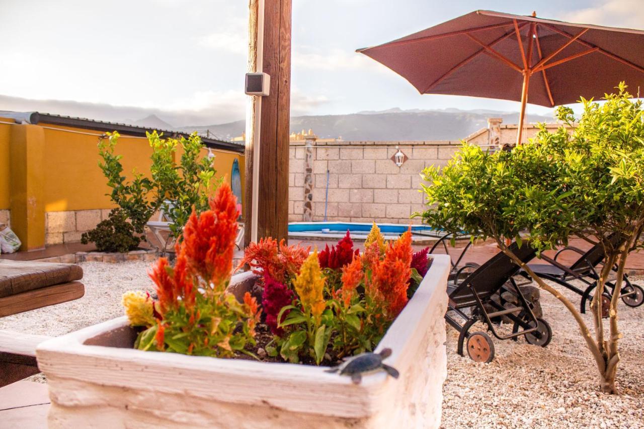 Platanito House