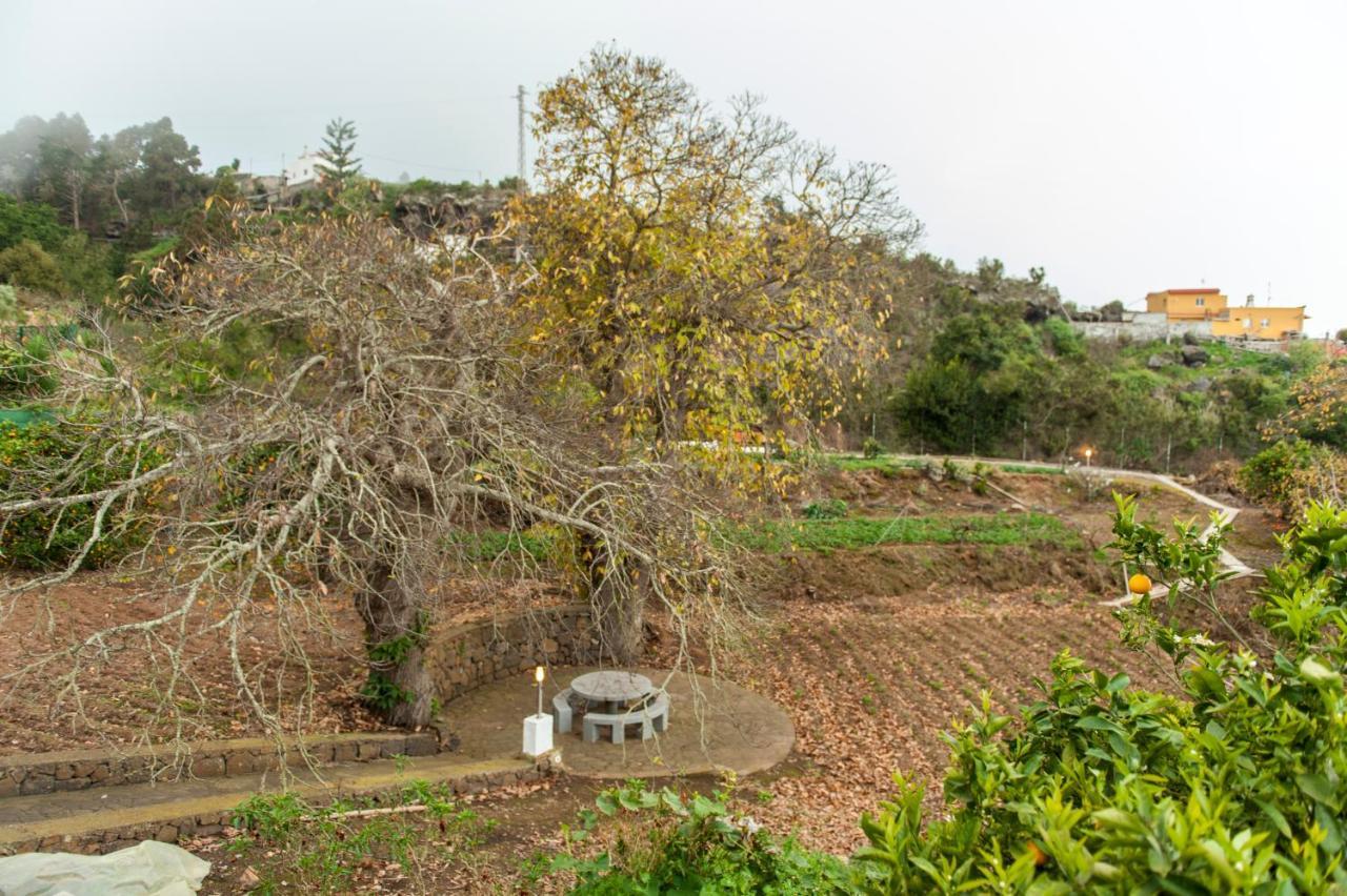 Castanos - Panoramic View Villa *