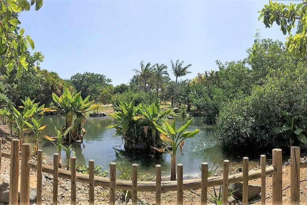 Luxury Flat In Cruz * Santa Cruz de Tenerife