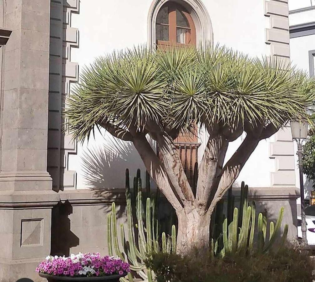 Luxury Flat In Cruz Apartamento Santa Cruz de Tenerife