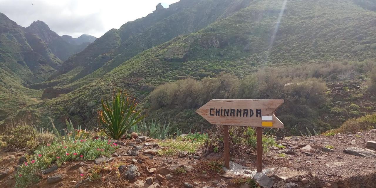 Estudio - Descanso Y Bienestar En La Punta * Punta Del Hidalgo