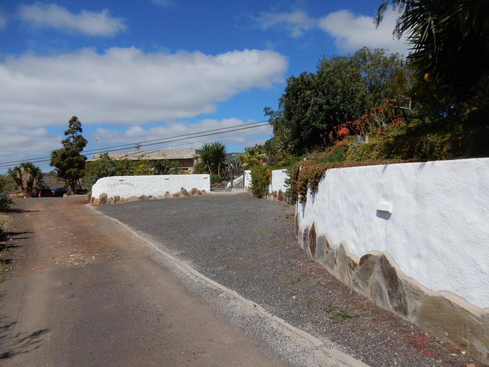 Florida San Miguel de Abona