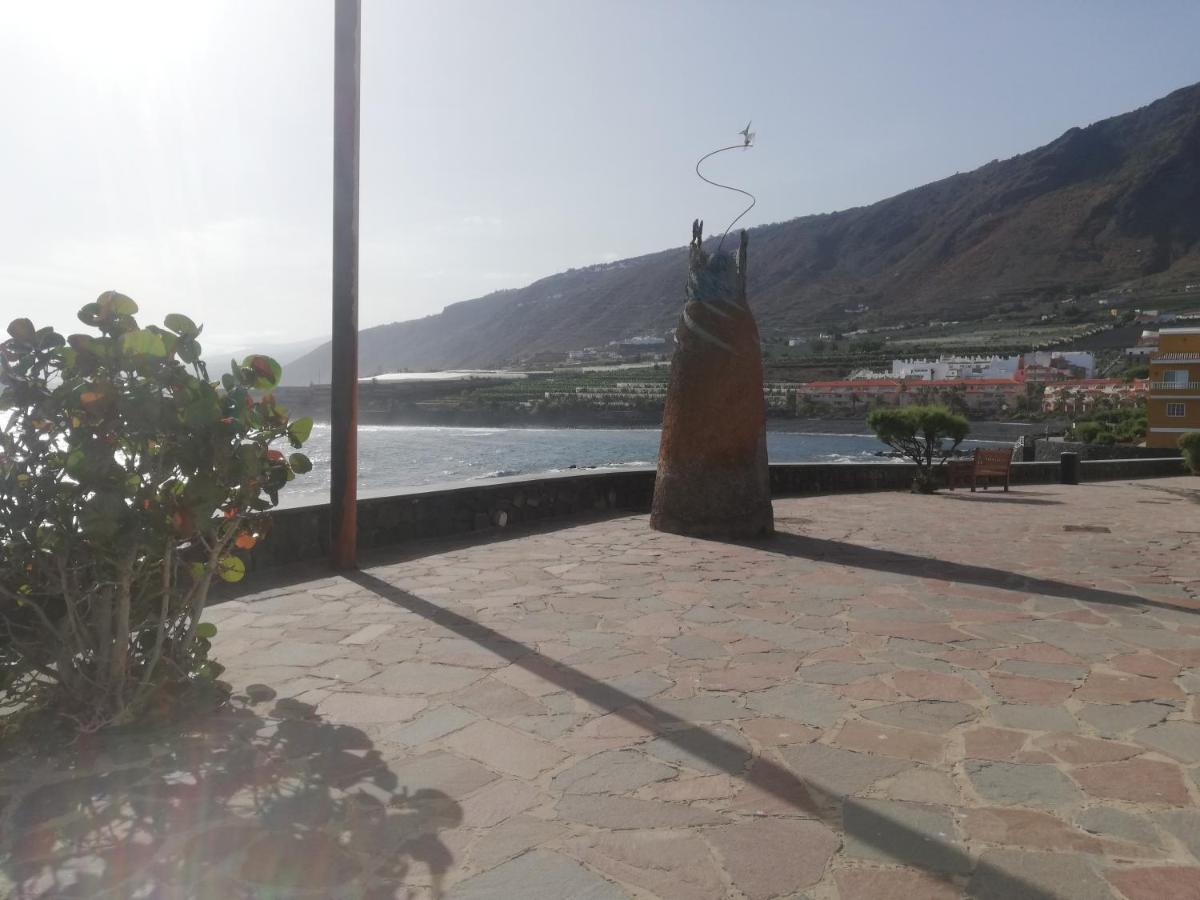 Aptos. Mar De Plata Garachico (Tenerife)