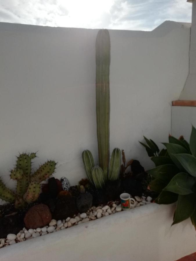 Hébergement de vacances Casa Eva Abades (Tenerife)