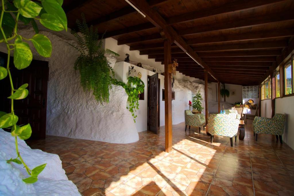 Hébergement de vacances Casa Cueva La Herencia