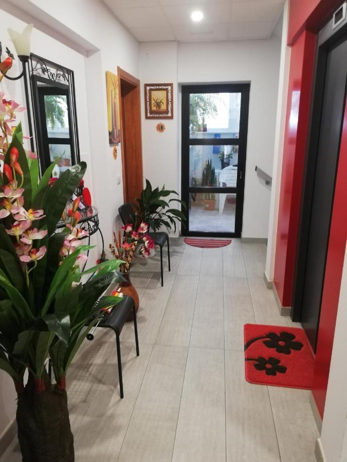 Chajofe 8 Apartment *