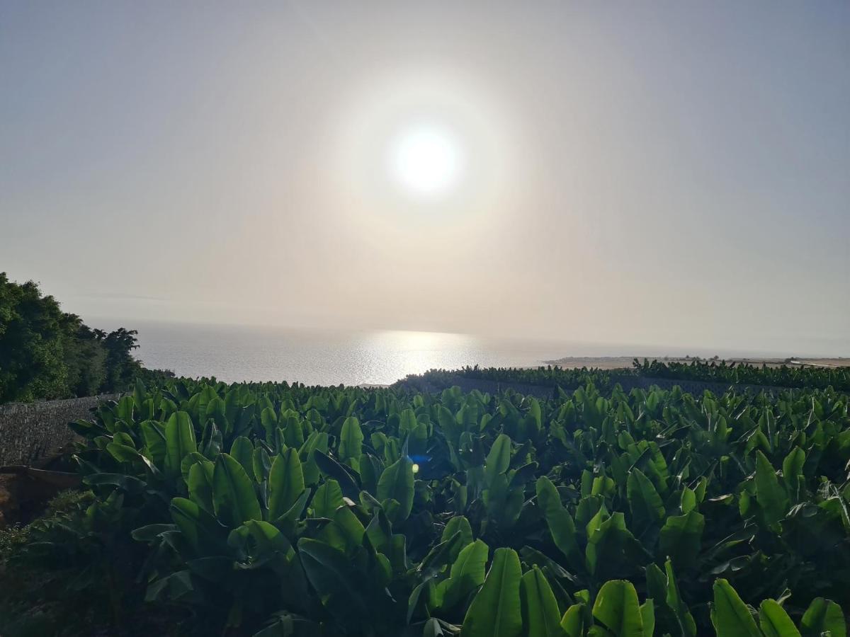 Orlando Tenerife Sur Bamby&daisy&mikey Apartamento Costa Adeje (Tenerife)