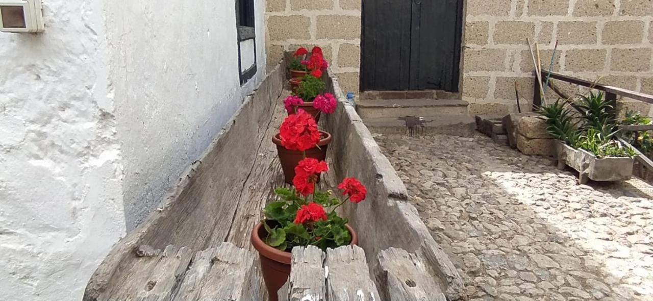 Casa El Drago De Arico Hébergement de vacances