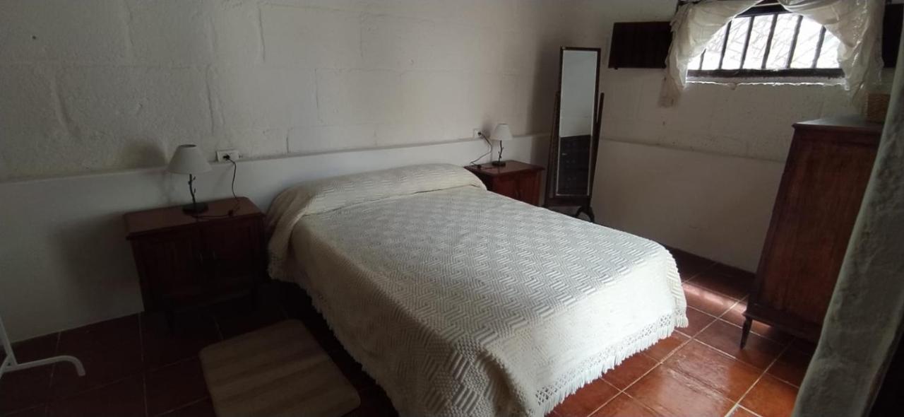 Hébergement de vacances Casa El Drago De Arico *