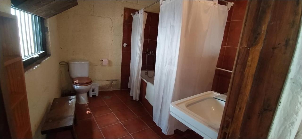Hébergement de vacances Casa El Drago De Arico Arico el Nuevo