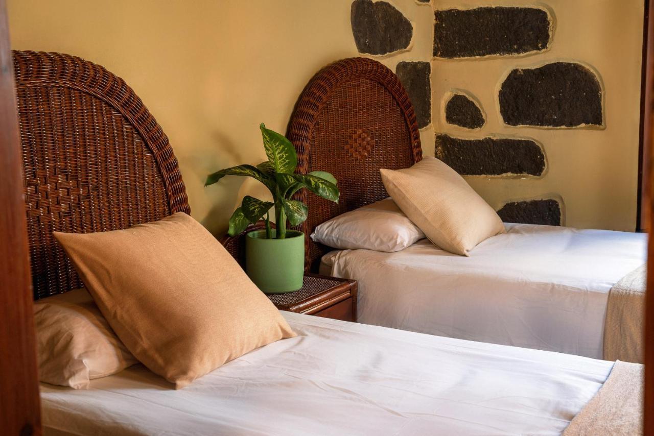 Rural Coliving Realejos