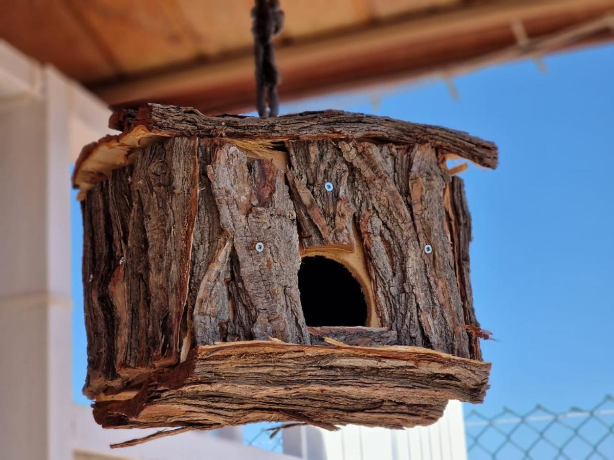 Holiday home Rural San Antonio *