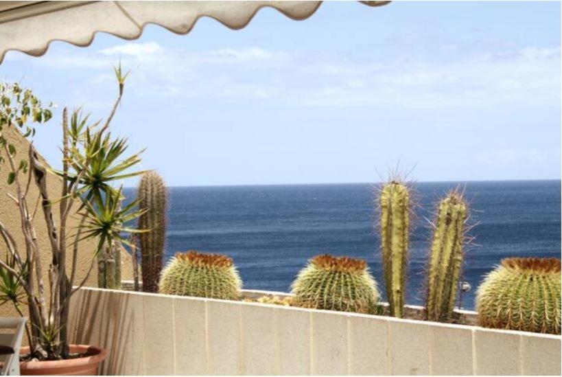 Apartment Frente Al Mar Radazul