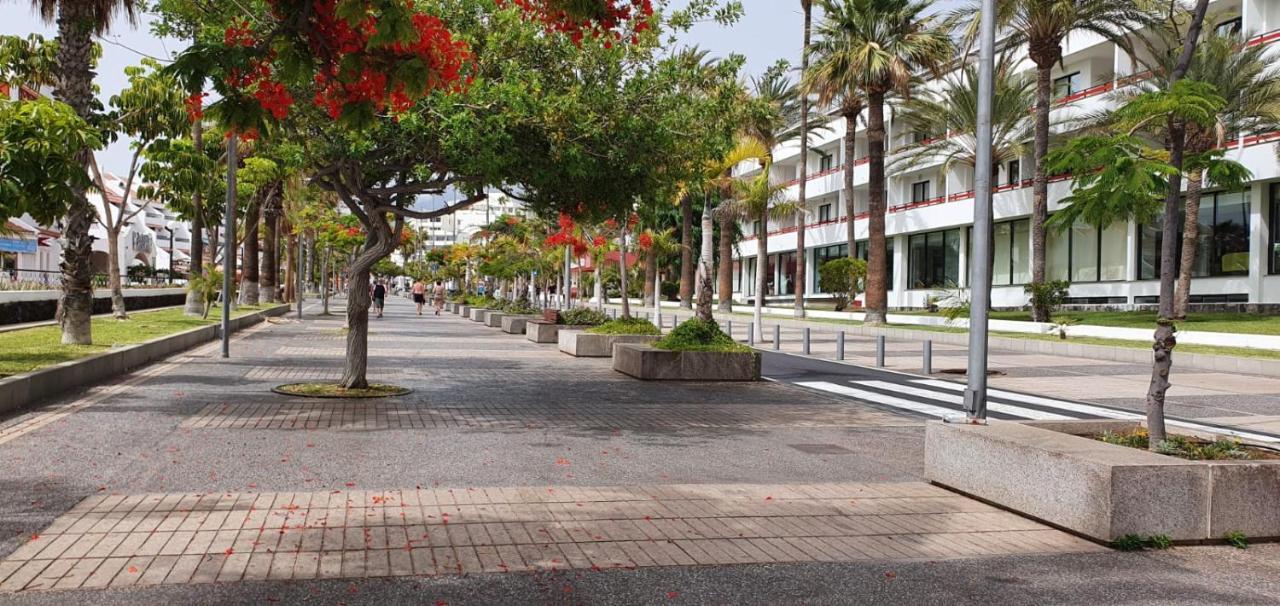 Apartamento Playa De Americas-parque Santiago Ii