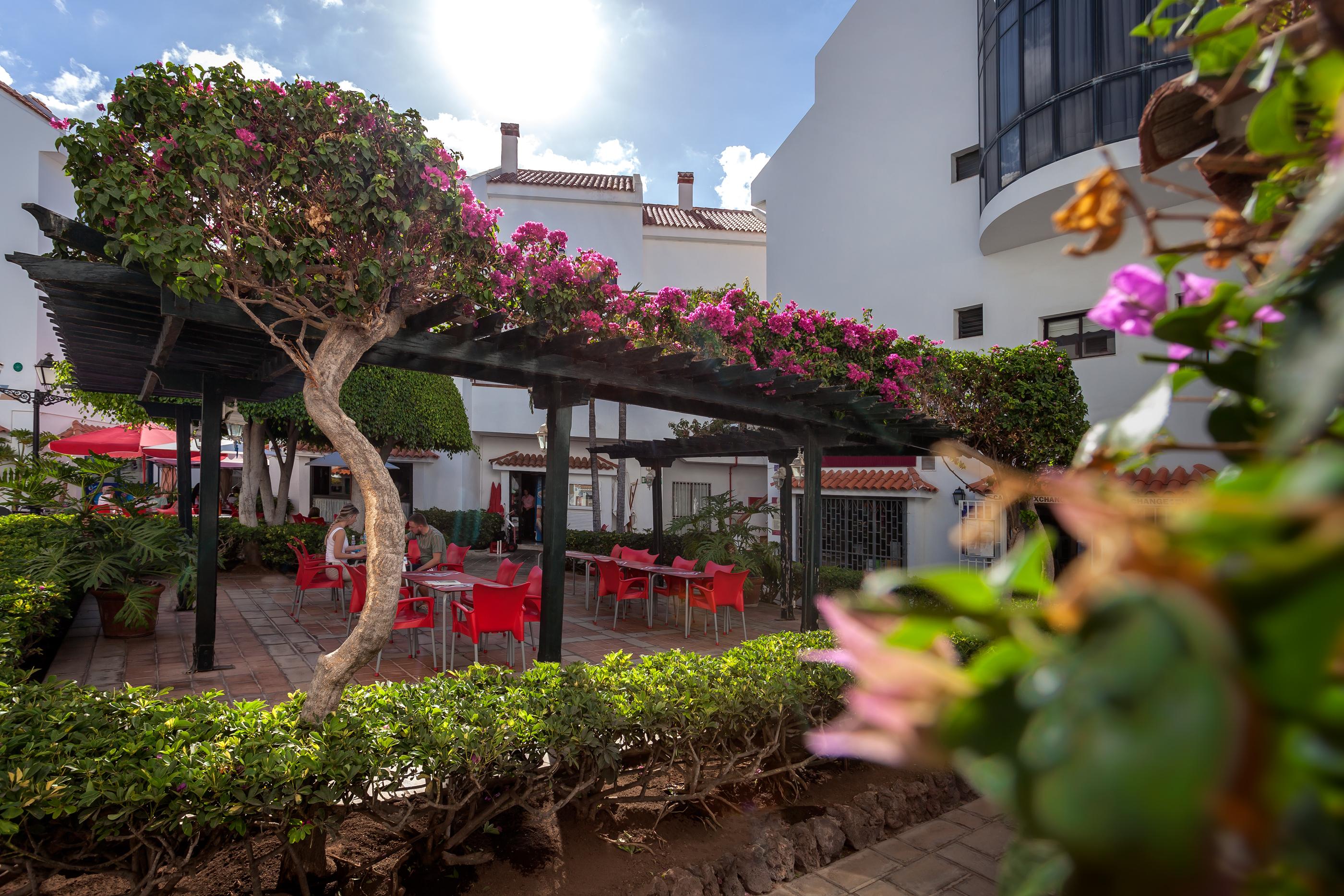 Hg Cristian Sur Appartement Los Cristianos (Tenerife)