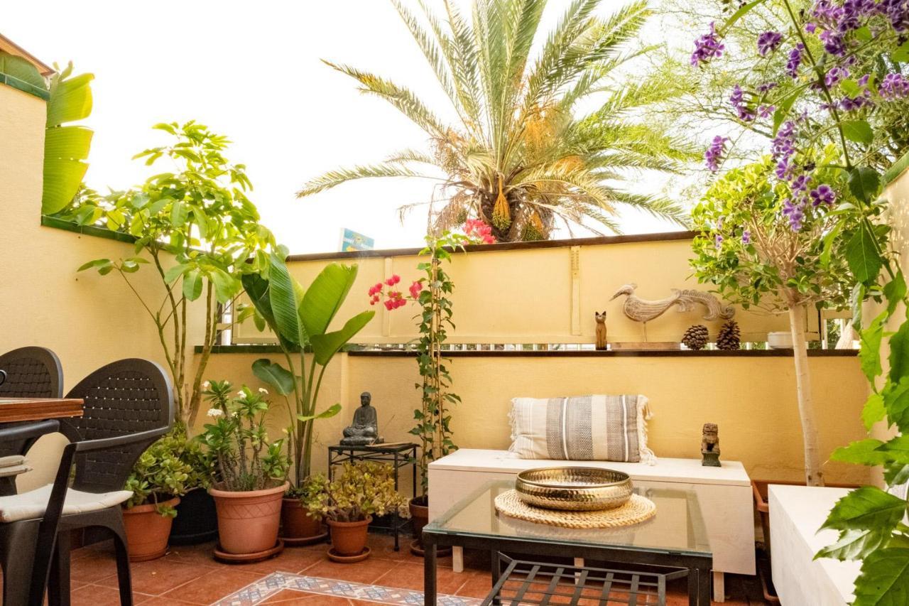 Apartment Melo's Place - Cozy With A Sunny Terrace. *