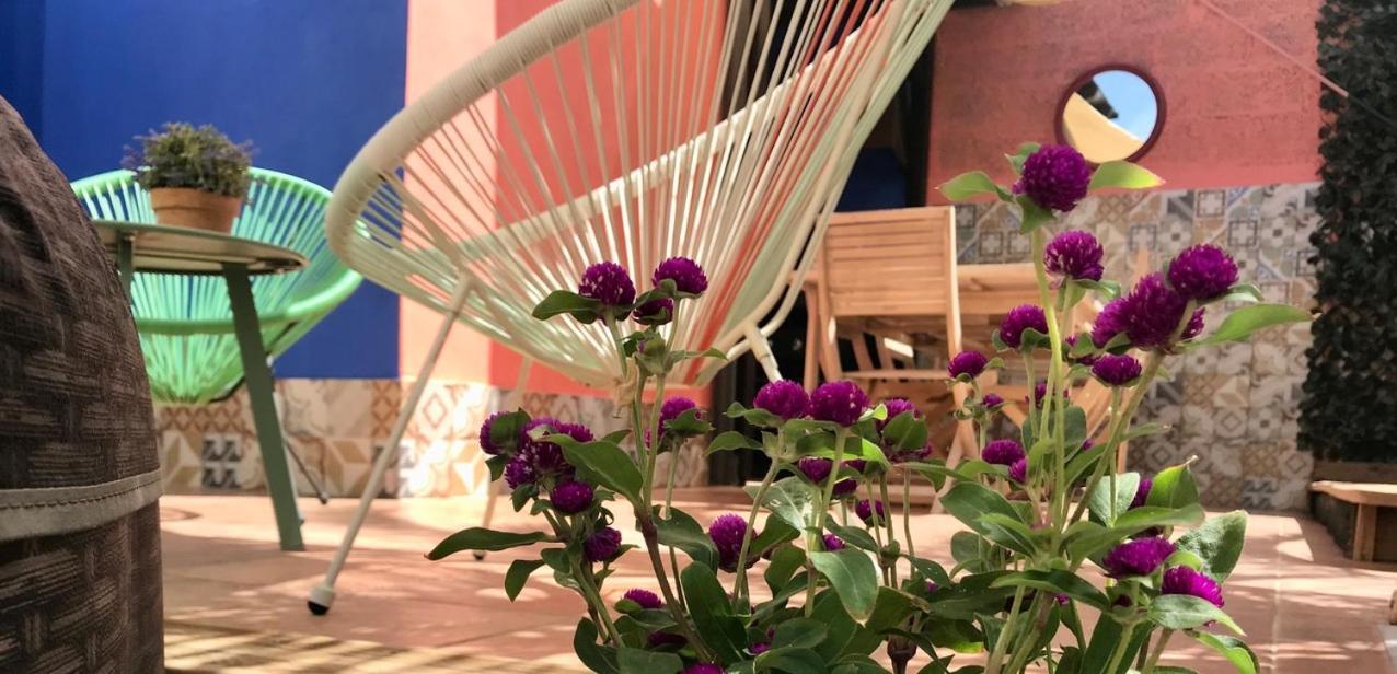 Casa Vivaqi Tenerife Holiday home Granadilla De Abona