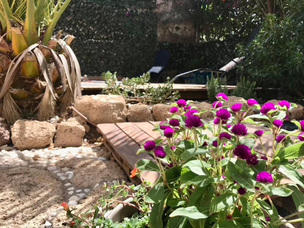 Holiday home Casa Vivaqi Tenerife Granadilla De Abona