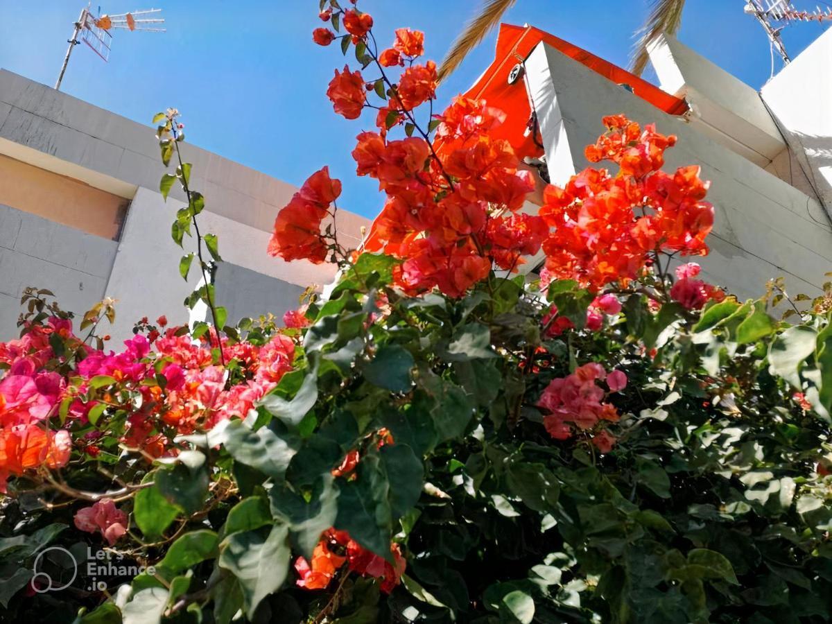 Primavera Tenerife