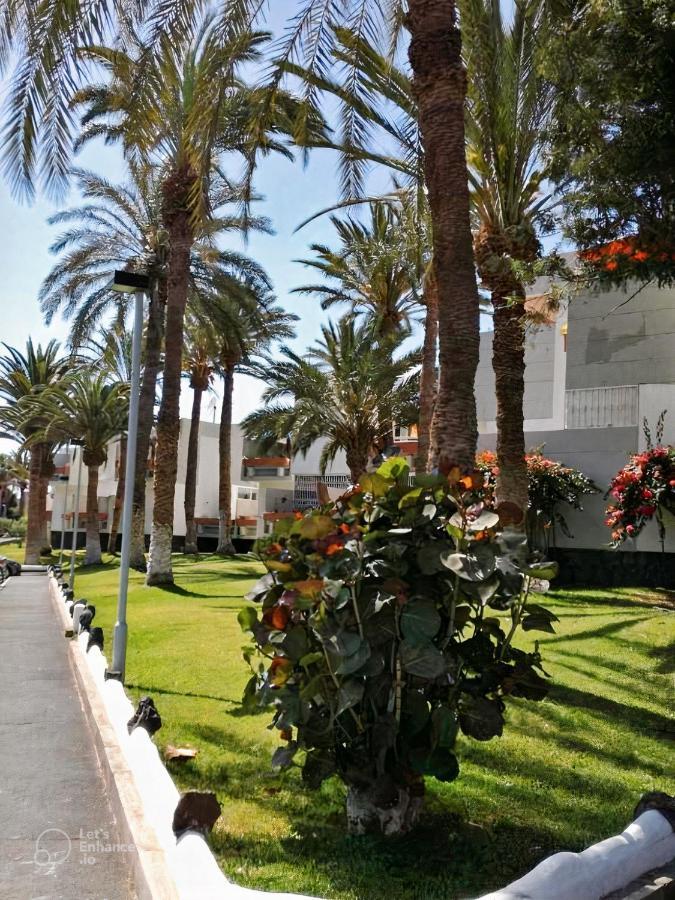 Primavera Tenerife Appartement Costa Del Silencio