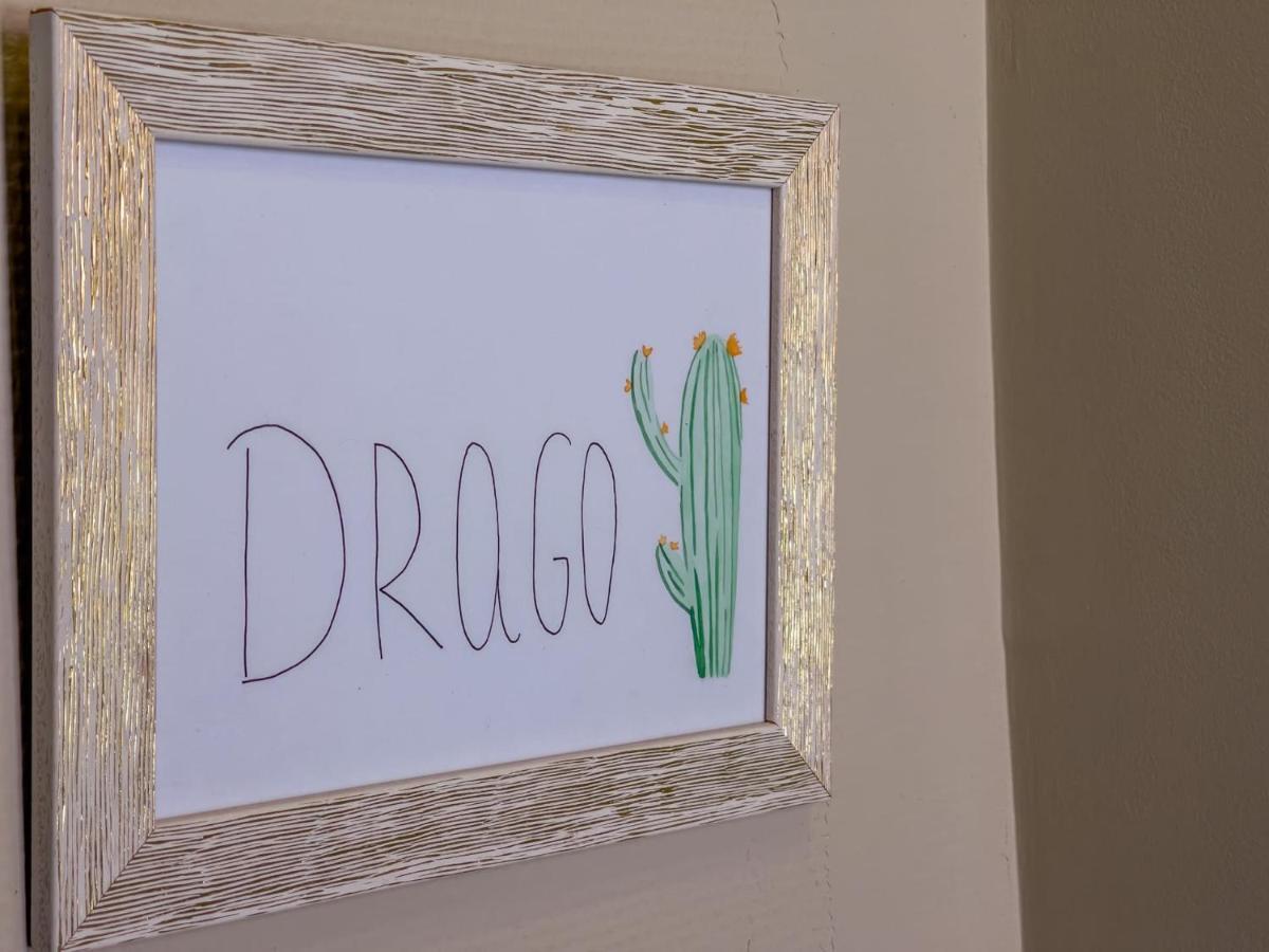 Bed & Breakfast Cactus Coliving & Coworking *